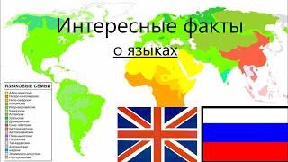 Интересные факты о языках, которые вас поразят.