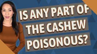 Is any part of the cashew poisonous?