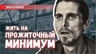 Можно ли выжить на прожиточный минимум – эксперимент Делягина