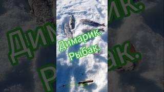 Великолепные кадры зимней рыбалки. #ленок #зима