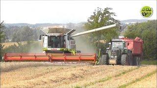 Weizenernte • Wheat Harvest • Getreideernte • Grain Harvest • New Holland • Claas •Fendt •John Deere