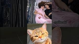 illusion  #cat #meme #dance #trending