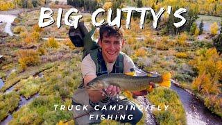 Fly Fishing for big Cutthroat Trout in Idaho | Truck Camping