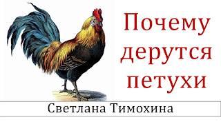Почему дерутся петухи"  - христианский рассказ сборника "Секрет Радости". Светлана Тимохина.
