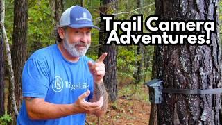 Trail Camera Adventures on The Ridge! | Bobcat, Bucks & More! | Campark TC02 | Andeman EPower-B05