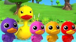 Fünf kleine Enten | Mehr Kinderkinderreime | Five Little Ducks | Preschool Songs | Italiano Rhymes