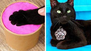 Makeover of Homeless Kitten *Gadgets and Hacks for Pets*