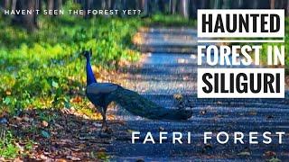 Haunted Forest of Siliguri || Fafri Forest 