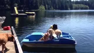 Quadra Island Pedal Boat Fun