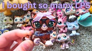 I *might* have an LPS addiction.... || HUGE LPS HAUL with DREAMIES ️