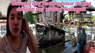 NALUNOD ANG FLOATING HOUSE ITO ANG DAHILAN PAG WALANG KAWAYAN ANG MGA BAHAY SA AGUSAN MARSH