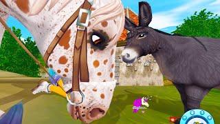 Mini Donkey Search ! Star Stable Online Horse Quest Video