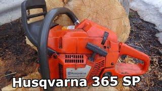 Специальная кустарна 365  Husqvarna 365 SP