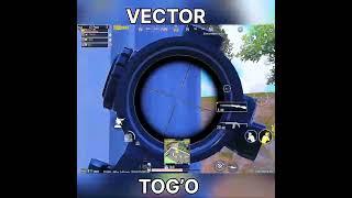 VECTOR TOG’O #tdm #pubg #shots #pubgmobile #dsa #shortsfeed #trend #rek #m24