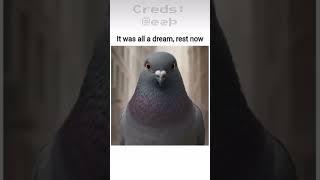 Use this sound 