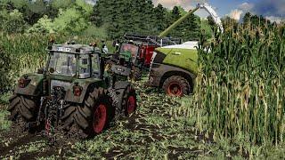 Maize silage harvest in EXTREME MUD ! Every tractor get stuck | Farming Simulator 22