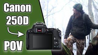 POV Wildlife Photography with the Canon 250D in the Rain!