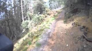 Scotland Mountain Biking - Moray monster trails - Mast Blast