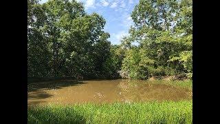 11 acres w/ pond and creek bed - Owner Financed! - InstantAcres.com - ID#BH43