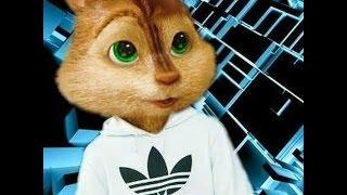 кавказские бурундуки)))Caucasian Chipmunks))) Роберт Каракотов "Украду"