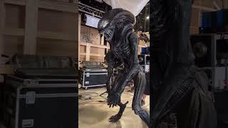 Animatronic Xenomorph for Alien: Romulus #alienromulus #aliens #movies