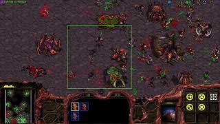 StarCraft: BW - Z01 'Vile Disruption' - 01:32