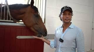 New Owners at Zabeel Stables!