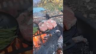 #food #campfire #cooking #campping #meat #steak #overlanding #camping #campfirecooking #offgrid