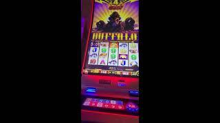 Buffalo wonder 4#slot #casino #jackpot