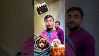 ये Lovely Dogs  हमारा ये हाल कर दिया।#5#shorts #minivlog #vlog #ravivlogs75