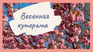 весенние денёчки, всего понемногу, крестики,  мережки