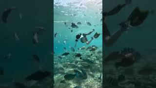 Tự Hào cảnh đẹp  #vnvideoeditor#vnnews #trendingshorts #shortsvideo #giaitri #vietnamese #short