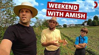 Weekend With Amish Farmer 