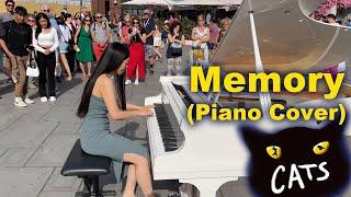 Unforgettable Cats Musical Memory Played On A Street Piano By YUKI