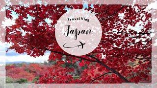 Travel Vlog EP03｜亞洲旅遊日記《2024賞楓趣，日本京都大阪神戶》秋天沒有蕭瑟，只有楓紅黃綠！跑遍十五個景點，我最推薦ＸＸＸ。追加分享祕密景點：百年銀杏，黃金地毯！