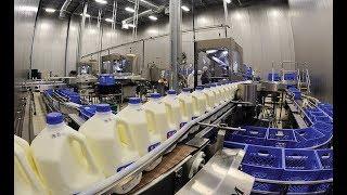 Botswana Milk (Dairy) Processing