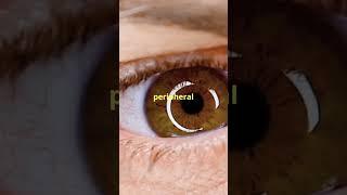 Top 5 random fact about human eye । Fact Cast । 2024 । #shorts #foryou #viralvideo
