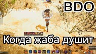 BDO Когда жаба душит