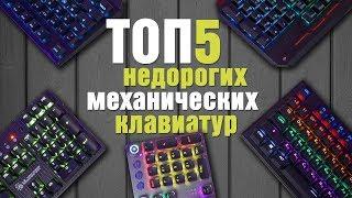 ТОП 5 бюджетных МЕХАНИЧЕСКИХ игровых клавиатур