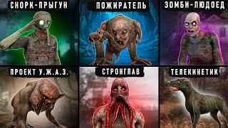 113 УНИКАЛЬНЫХ МОНСТРОВ ИЗ ЛУЧШЕЙ МОДИФИКАЦИИ НА S.T.A.L.K.E.R.