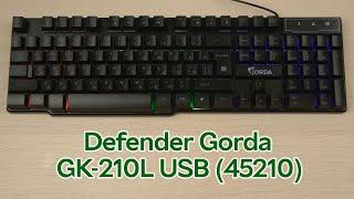 Розпаковка Defender Gorda GK-210L USB (45210)