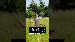 Jak dlouho trvá gepardovi zrychlit z 0 km/h na 100 km/h #zajimavosti #gepard #kočky #animals