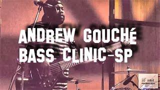 Andrew Gouche em São Paulo - Bass Clinic (HD)