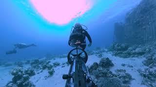 kandao quoocam 8k diving underwater