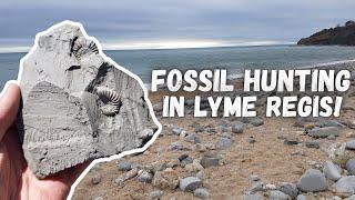Fossil Hunting In Lyme Regis!