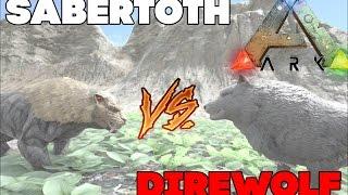 Битва в ARK Survival Evolved | Лютволк против Саблезуба | Direwolf vs Sabertoth