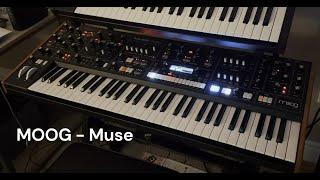 ALORA:LIQUID - Synth Tour (Moog Muse & Matriarch, Sequential OB-6 & Trigon-6, plus more!)