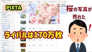 【嘘だろ？】素人が撮った桜の写真が売れたのか！？【PIXTA】