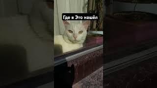 19 мая 2025 г.