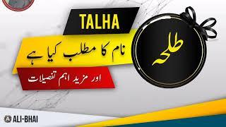 TALHA Name Meaning In Urdu | Islamic Baby Boy Name | Ali-Bhai